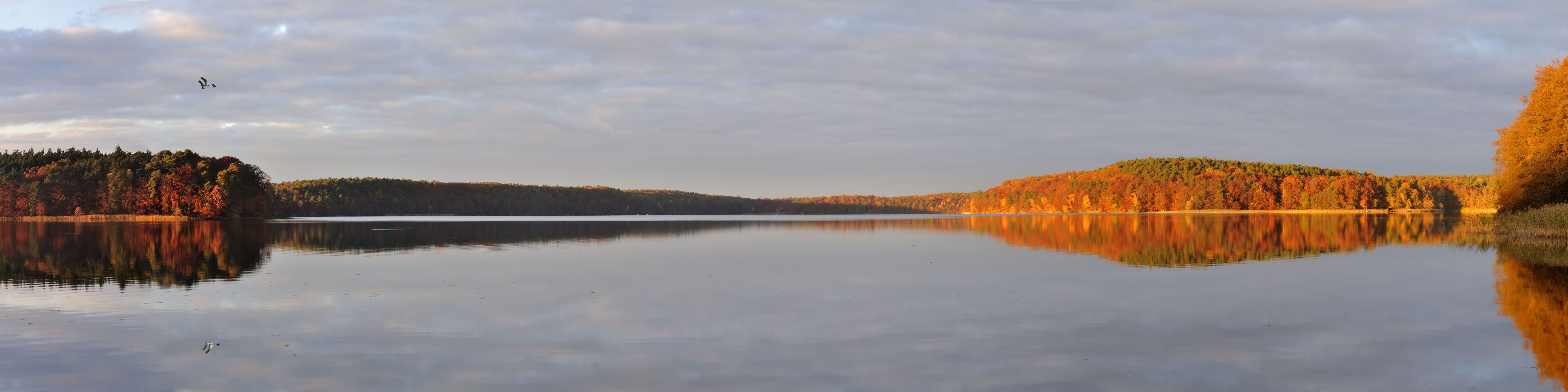 Lake Stechlin in autumn