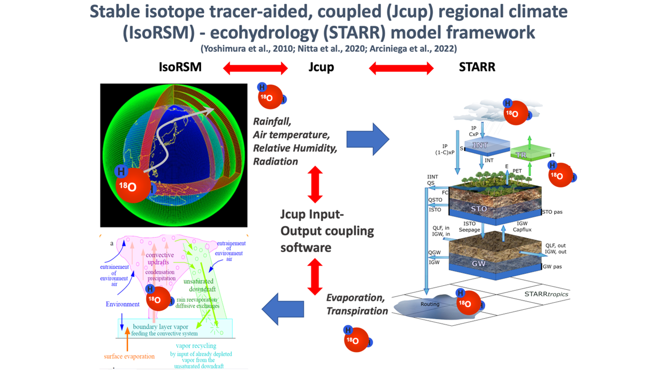 Graphical representation: The coupled IsoRSM-Jcup-STARR model for simulating climate, hydrology, and stable isotope fluxes in the environment