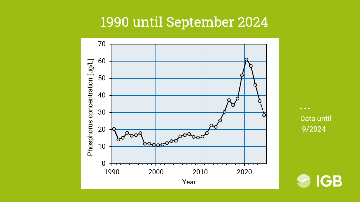 The image shows the phosporus concentration in Lake Stechlin since 1990 until September 20204.