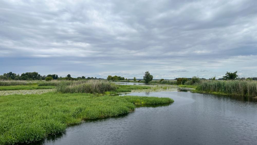 Lower Oder Valley National Park, NE Germany