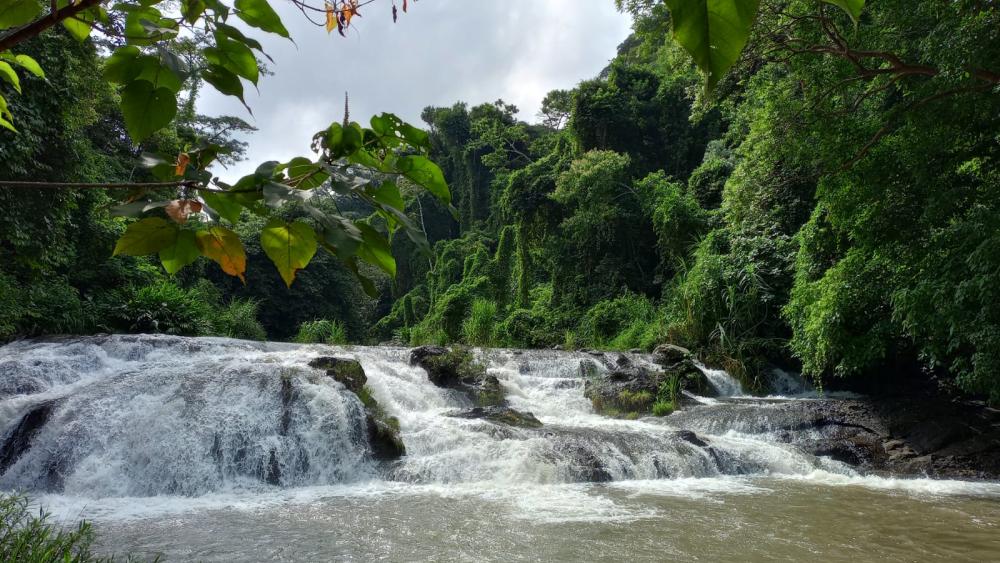 Symbolic image: Headwater stream of the study area in Costa Rica