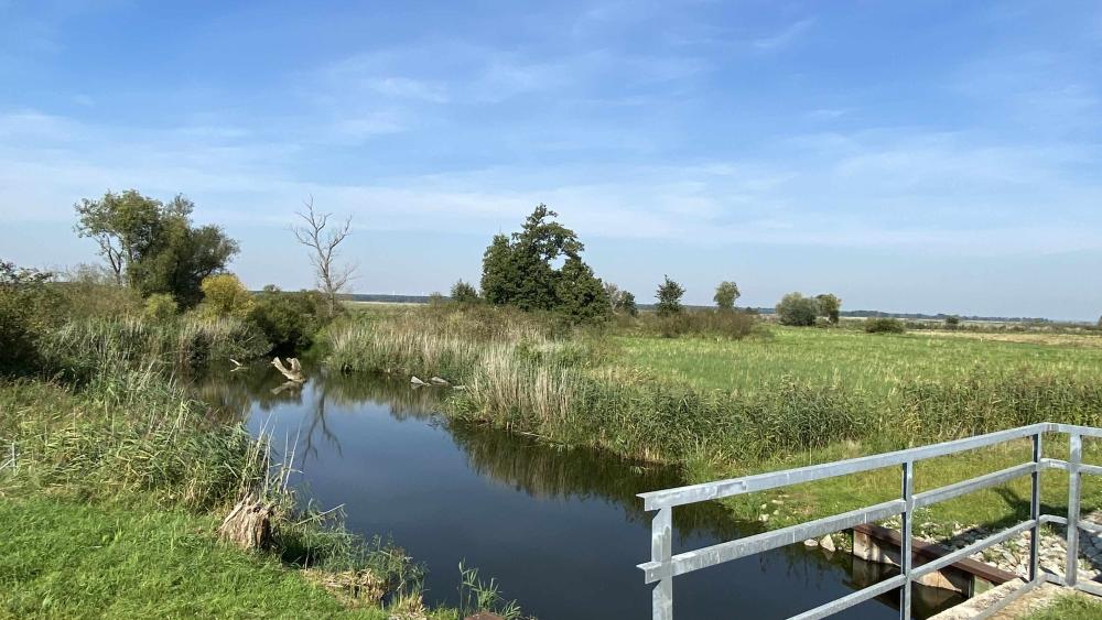 Ein Überflutungswehr eines Polders im Nationalpark Unteres Odertal verhindert, dass im Sommer Wasser in die Aue gelangt, die während dieser Zeit landwirtschaftlich genutzt wird. 