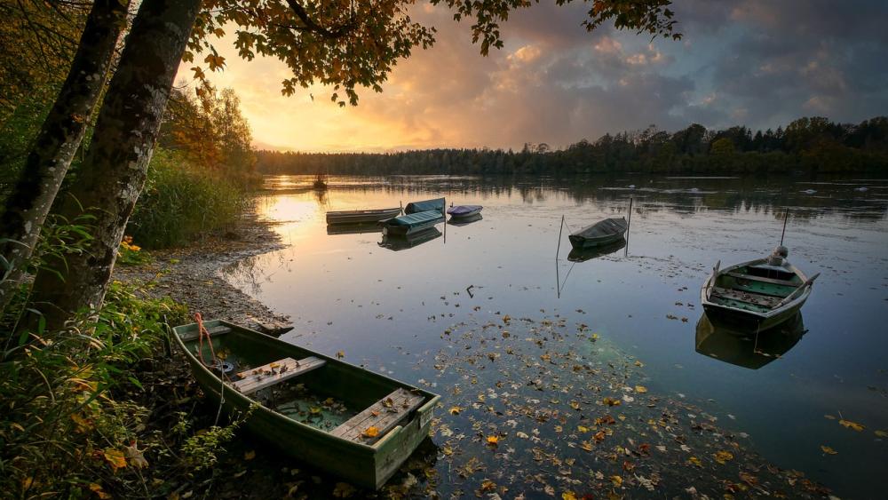 The picture shows a lakeshore with rowing boats in the evening light.