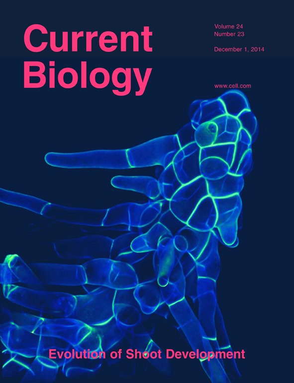 Cover_of_Communications_Biology